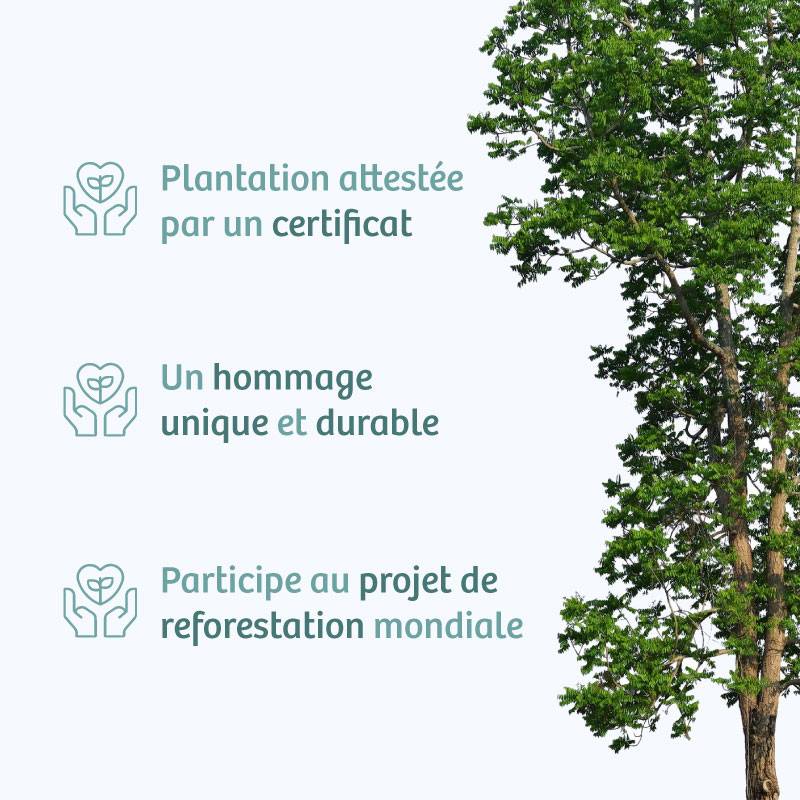 Planter un arbre en hommage à Mme Antoinette PÉRESSE Née PÉRESSE